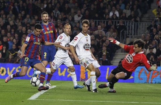 不仅证明了 不仅证明了